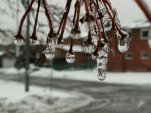 Ontario ice storm freezing rain