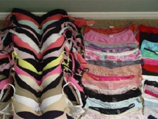 Rows of women's underwear are seen in one of many photos entered as evidence at the of Col. Russell Williams on Monday, Oct. 18, 2010. (Handout photo)