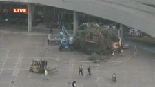 Sandy storm damage Toronto city Christmas tree