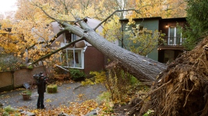 Sandy storm damage Toronto GTA house crushed