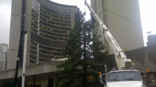 Superstorm Sandy Toronto damage Christmas tree