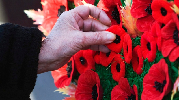 Toronto Queen's Park Remembrance Day service