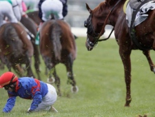 Anna Napravnik lays on the ground after falling off Rough Sailing during the Juvenile Turf race at the Breeder's Cup horse races at Churchill Downs Saturday, Nov. 6, 2010, in Louisville, Ky. (AP Photo/Ed Reinke)