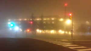 Dense fog Mississauga GTA Toronto
