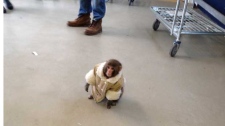 Ikea monkey
