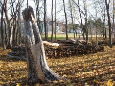 The sculpture "Deadwood Sleep" is shown in this undated photo in Sackville, N.B., released on Monday Nov. 29, 2010. A New Brunswick logger is unrepentant after beginning to dismantle a woodpile that turned out to be a sculpture. Ron Fahey of Sackville said Monday he was granted permission in August from Mount Allison University to take the logs stacked in an area behind the president's residence alongside a water fowl park in the town. (THE CANADIAN PRESS/HO, Paul Griffin)