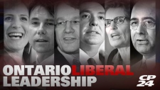 Ontario Liberal Leadership 2013
