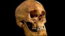 Skeleton found under parking lot King Richard III