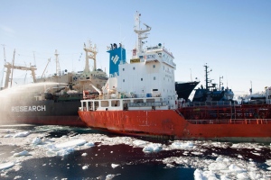 Sea Shepherd whaling boats collide Antarctica