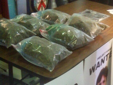 Police display opium seized as part of a major drug bust in teh GTA. (CP24/Ramen Zarafshan)