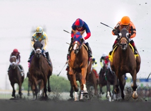 horse racing, tracks, ontario