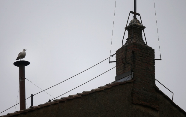 Seagull atop Sistine Chapel chimney conclave