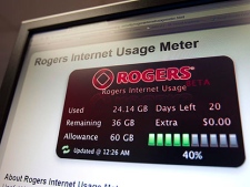An internet usage meter is displayed on a computer screen in Ottawa on Tuesday Feb. 1, 2011. Minister Tony Clement said this week that he will review the federal telecommunications regulator's decision that could lead to a raise in prices for consumers and businesses. (THE CANADIAN PRESS/Sean Kilpatrick)