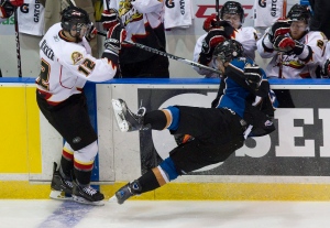 Jesse Blacker, Toronto Maple Leafs