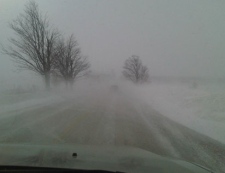 A CP24 viewer sends us this picture of white-out conditions on Highway 27 north of Toronto.
