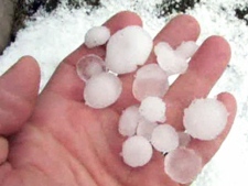 Hail stones that fell during a thunderstorm in southern Ontario on Sunday, April 10, 2011.