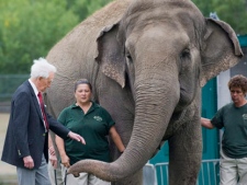 Bob Barker meets Lucy the elephant at Edmonton's River Valley Zoo on September 17, 2009. (THE CANADIAN PRESS/Ian Jackson)
