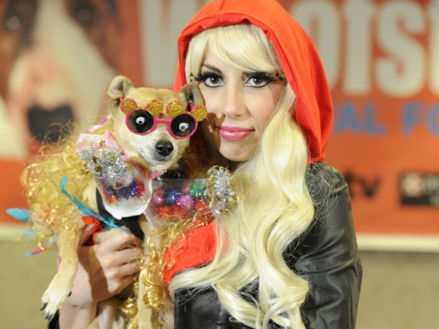 Chihuahhua mix Scooby as Lady Gaga with Skyla, a Lady Gaga look-a-like from HollywoodHeaven.ca, at the �Going Gaga Doggie High Tea� at Toronto�s King Edward Hotel, Sunday, May 29, 2011; the official launch for Woofstock, North America�s largest festival for dogs, happening June 11-12 throughout Toronto�s St. Lawrence neighbourhood. (The Canadian Press Images)