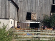 Toronto police search Dellen Millard farm