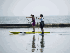 Two women use paddle boards on Lake Ontario just off the boardwalk along Lakeshore Blvd., in Toronto on Tuesday, May 31, 2011. (THE CANADIAN PRESS/Nathan Denette)