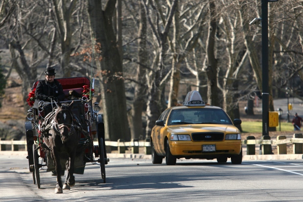 New York horse-drawn carriage rides may end