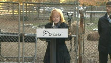 Ontario to toughen enforcement of animal welfare