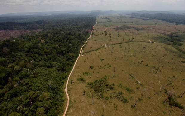 Brazil deforestation 
