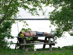 A man takes to the shade and has a nap at Sunnyside Beach on Lake Ontario in Toronto on Wednesday, June 8, 2011. (THE CANADIAN PRESS/Nathan Denette)