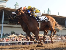 Pender Harbour (right) under jockey Luis Contreras outduels Bowmans Causeway (left) in the stretch to capture the $500,000 Prince of Wales Stakes at Fort Erie Racetrack in Fort Erie, Ont. on Sunday, July 17, 2011. (THE CANADIAN PRESS/ho-Michael Burns)