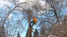 hydro worker ice storm