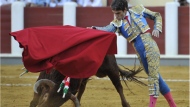 Spanish bullfighter Jose Tomas performs during a bullfight at the Valladolid bullring, in Spain, Thursday, Sept. 8, 2011.