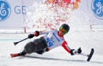 Josh Dueck of Canada races to win his silver medal in downhill, sitting skiing event at the 2014 Winter Paralympic, Saturday, March 8, 2014, in Krasnaya Polyana, Russia. (AP Photo/Dmitry Lovetsky)