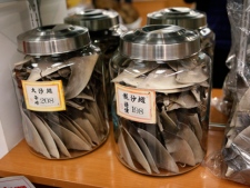 Shark fins being are sold at a store in San Francisco's Chinatown, Monday, Feb. 14, 2011. (AP Photo/Paul Sakuma)