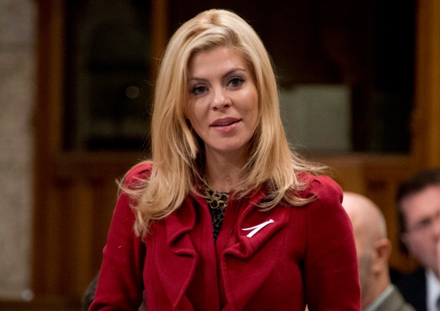 Conservative Party has concerns about MP Eve Adams