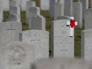 Poppies are seen on a grave at the National Military Cemetery in Beechwood Cemetery on Remembrance Day in Ottawa on Wednesday, Nov. 11, 2009. (THE CANADIAN PRESS/Pawel Dwulit)