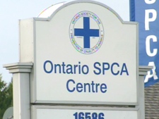 An OSPCA sign is pictured in this file photo.