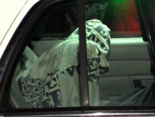 A male sits in the back of a police car after police arrested several people during a series of raids across the GTA early Tuesday, Dec. 13, 2011. (CTV)
