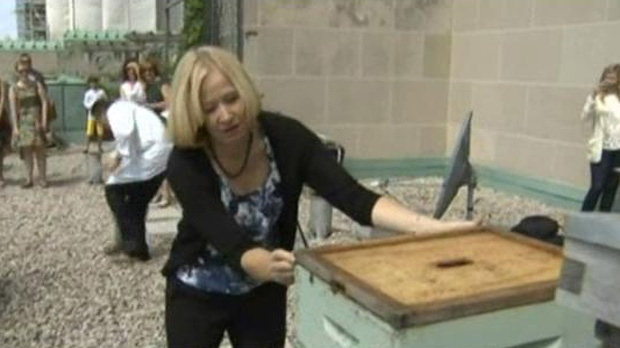 Laureen Harper stung by bees at Royal York