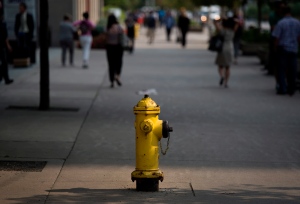 Toronto's costliest fire hydrants