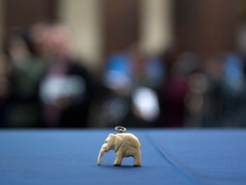 A small ivory elephant, which was placed inside a time capsule and hidden in the Maple Leaf Gardens building on September 21, 1931, is seen in Toronto on Thursday, January 26, 2012. The meaning of the elephant is unknown. THE CANADIAN PRESS/Pawel Dwulit
