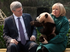 Canadian Prime Minister Stephen Harper and his wife Laureen hold a panda bear at the Chongqing Zoo in Chongqing, China Saturday February 11, 2012. Two giant pandas will call Canada home for the next 10 years.THE CANADIAN PRESS/Adrian Wyld