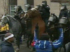 Police horses are seen controlling a crowd of protesters outside the U.S. Consulate Thursday afternoon. (CP24)