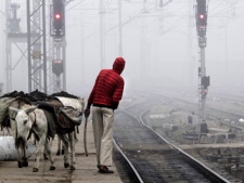 A worker stands beside donkeys near a railway station in New Delhi, India, Thursday, Jan. 5, 2012. (AP Photo/ Manish Swarup)