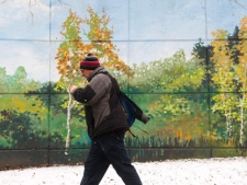 A man walks past a sunny green mural as snow makes its way on the streets in Toronto on Friday, Feb. 29, 2012. THE CANADIAN PRESS/Nathan Denette