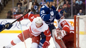 Toronto maple leafs, detroit red wings