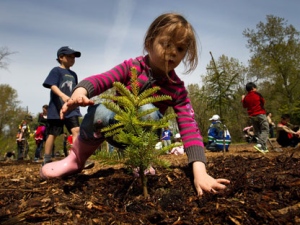 Four-year-old Norah Basha plants a tree at Everett Crowley Park as part of Earth Day celebrations in Vancouver, B.C., on Saturday, April 21, 2012. One-thousand native trees and shrubs were donated by the Vancouver Park Board to be planted at the city's longest running Earth Day event. (THE CANADIAN PRESS/Darryl Dyck)