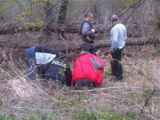 Police investigate after human remains were found in Brampton on Tuesday, May 1, 2012.