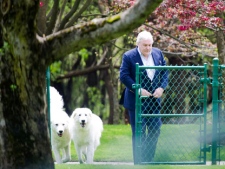 Conrad Black walks with his two dogs as he arrives at his Bridle Path residence in Toronto on Friday, May 4, 2012. Black was released from a Florida State prison after serving his sentence. THE CANADIAN PRESS/Nathan Denette