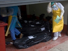 In this May 16, 2011, file photo, morgue employees take in bodies in San Benito, Guatemala. The discovery of 49 mutilated bodies dumped on a highway in northern Mexico on Sunday, May 13, 2012, appears to be part of an increasingly gruesome war of intimidation among Mexican drug gangs. (AP Photo/Moises Castillo, file)