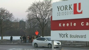 York University DE